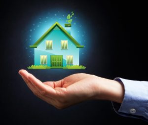 Everything you need to know about Net Zero