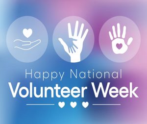 Compass Support hosts Volunteer Celebration Day